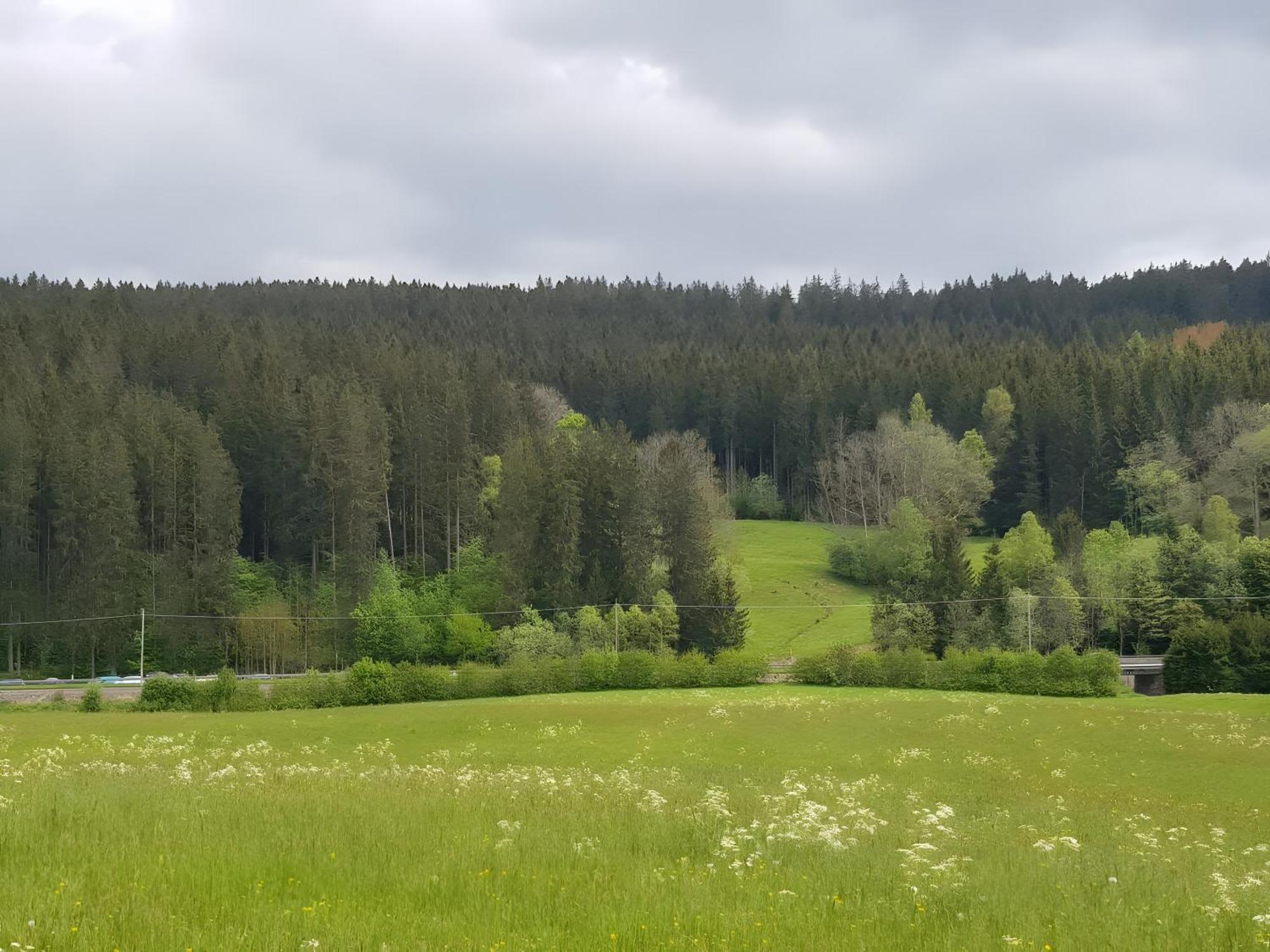 Apartament Haus Schwedes Titisee-Neustadt Zewnętrze zdjęcie